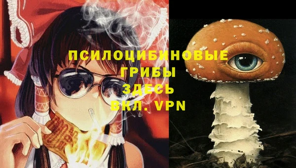 прущая мука Ладушкин