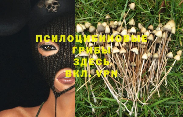 мяу мяу мука Краснослободск