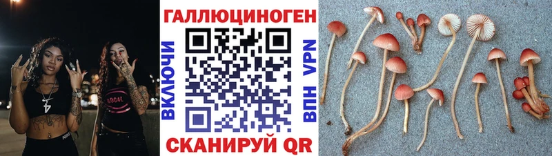 Галлюциногенные грибы ЛСД Маркс