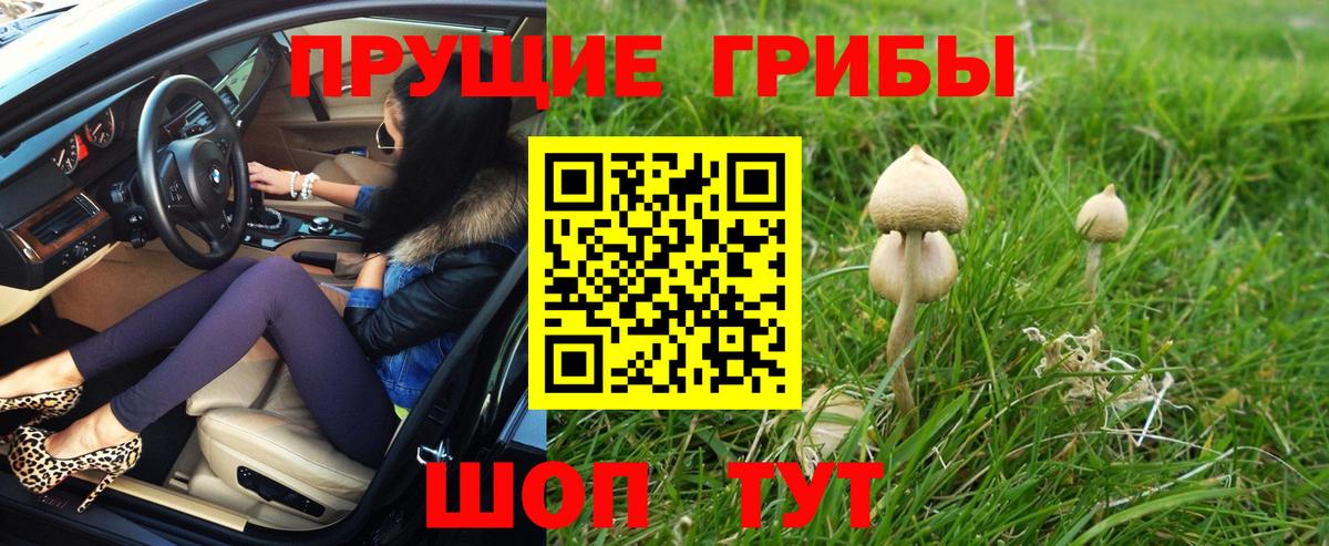 Псилоцибиновые грибы мицелий Маркс